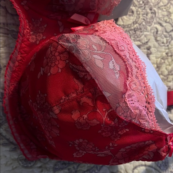 Freya Red and Pink Lace Bra Set - Picture 9 of 16